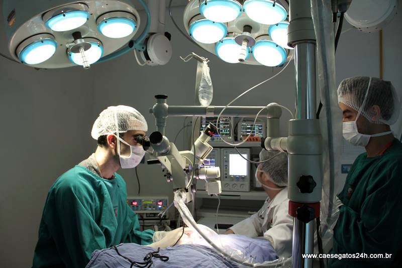 hospitalar